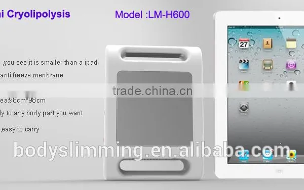 Professional Fat Freezing Mini Cryolipolysis For Home Use photo-5