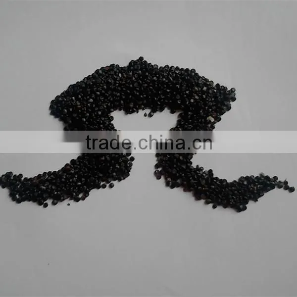 High Quality Pure Seeds Morning Glory photo-4