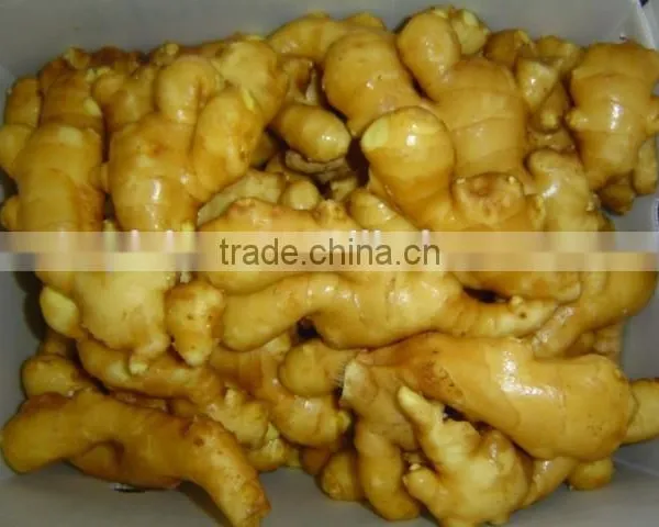 Organic Fresh Ginger photo-5