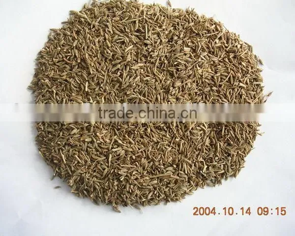 Cumin Seeds
