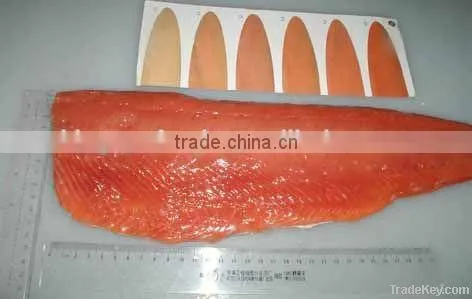 Frozen Chum Salmon Fillet Gutted Fish Seafood Kingsunfoods photo-4