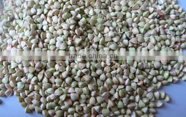 Automatic Oat Cleaning Machine/Buckwheat Stoning Machine Sales Price photo-6