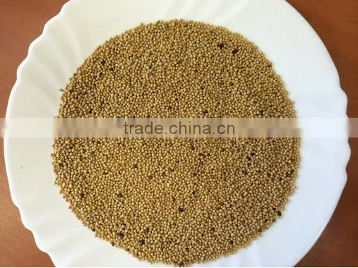 High Quality White Mustard Seeds