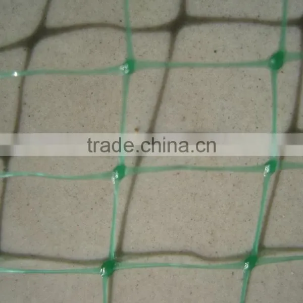 Pp/pe Anti-bird Net for Catching Small Bird photo-6