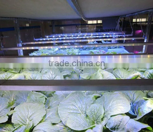 MarsHydro DC12V IP68 Full Spectrum Hydroponic Greenhouse LED Grow Light24/46/92w photo-4