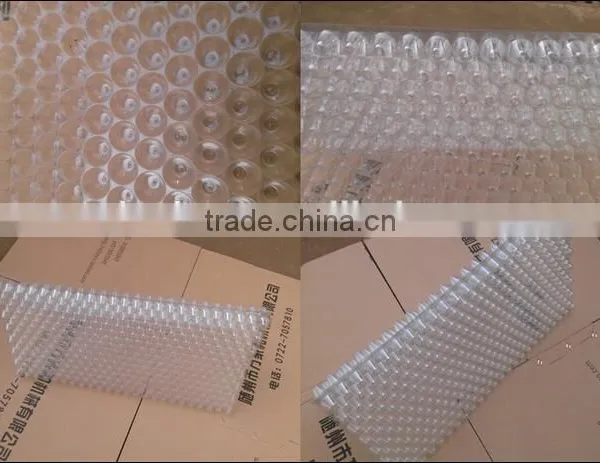 Paddy Seedling Tray