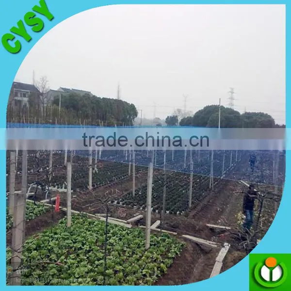 Wholesale HDPE Plastic Bird Net / Bird Trapping Net /plastic Tree Protection Mesh photo-6