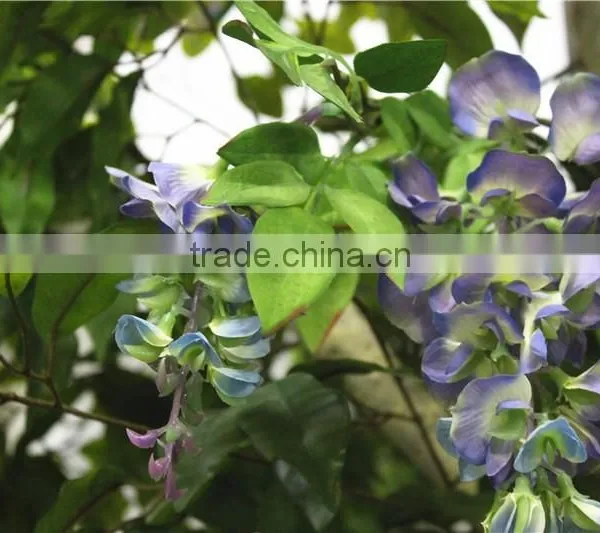 Home Garden Deco 50cm to 400 cm Hight Artificial Purple Large Chinese Wistaria EDHS1501 1602 photo-6