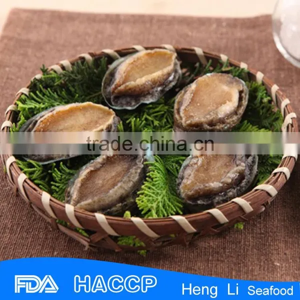 Frozen Taiwan Abalone With Shell photo-2