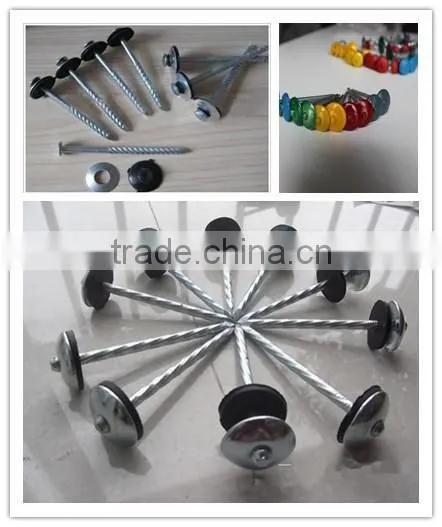 Galvanised/zinc Plated Umbrella Roofing Nails photo-5