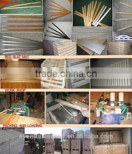 High Quality Bed Slat Plywood Bed Slat Birch Beech Wood Bed Slat photo-4