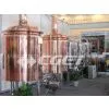 300L Hotel Beer Brewing Equipment