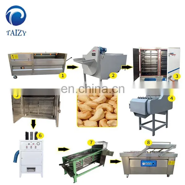 Taizy Hot Selling Cashew Nuts Peeling Machine Cashew Nuts Processing Line photo-5
