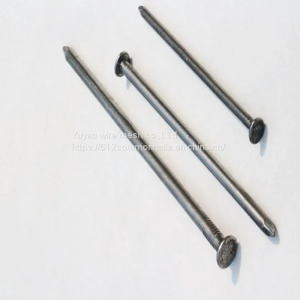 Cheap Price Polished Common Nails photo-2