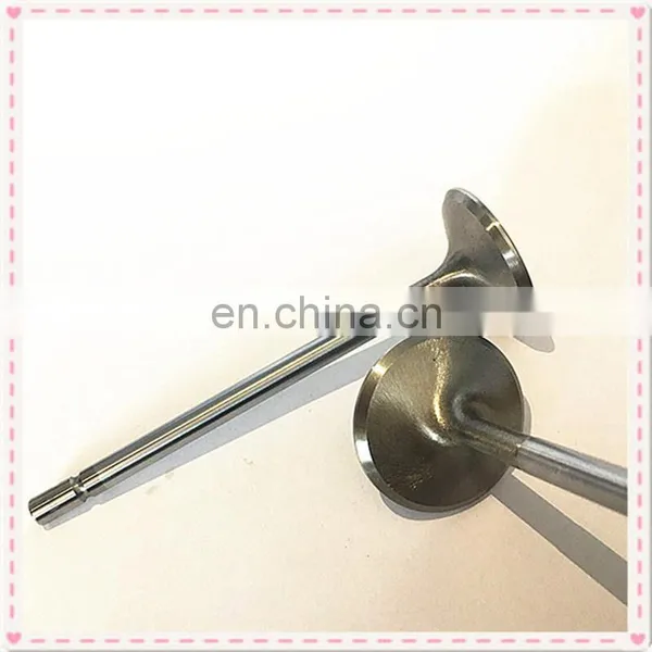 Auto Parts Manufacturing Black Nitride Tufftride Engine Valves For IVECO 345HP In 61320722 Ex 61321255 photo-4