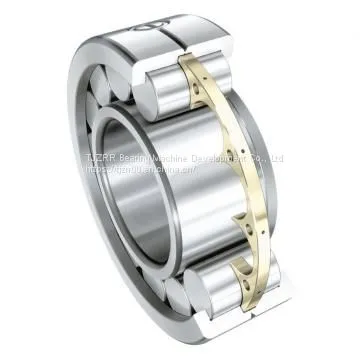 Ina 66263 Bearing photo-2