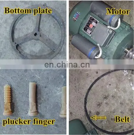 Chicken Plucking Machine Price/chicken Slaughterhouse/ Poultry Feather Removal Machine photo-5