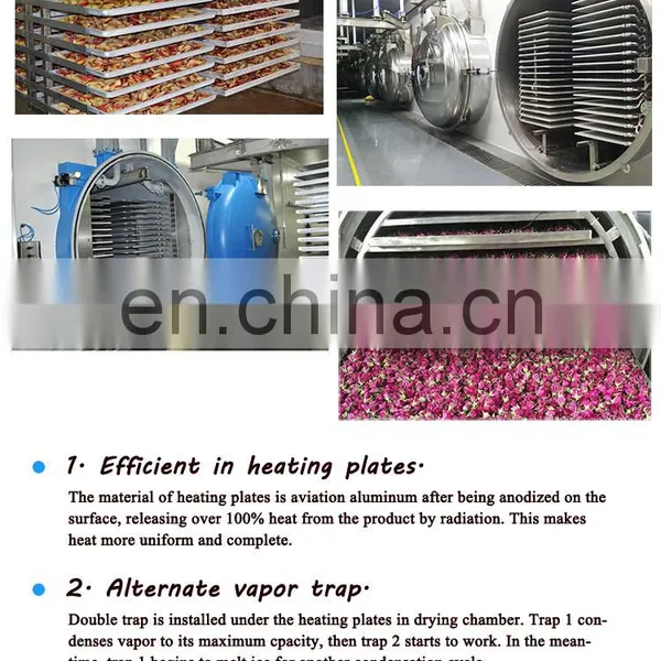 Lyophilization Coffee Equipment 5 Square 200 Square Vacuum Food Lyophilizer Coffee Price photo-5