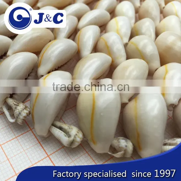 Customize Sea Shell Cushion,factory Manufacture Mat, Shell Pad photo-3