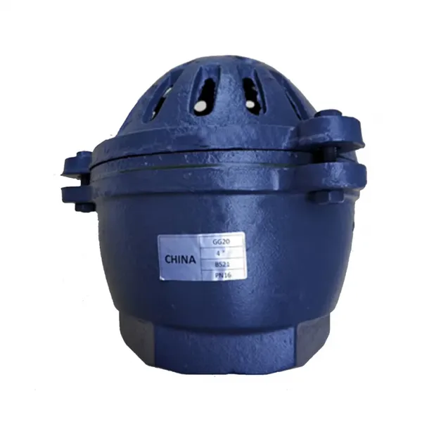 ANSI Bottom Foot Valve 150lb Stainless Steel Cast Steel Cast Iron Ductile Iron GGG40 Lift Strainer Flange Fitting 304 Screen photo-6