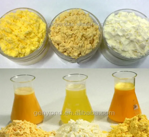 Pasteurized Liquid Egg & Egg Powder Processing Line photo-5