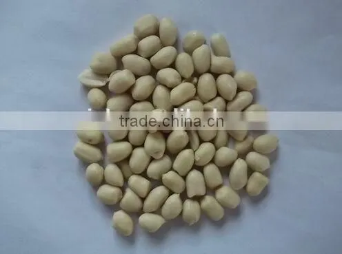 Shandong New Crop Best Price Blanched Peanut