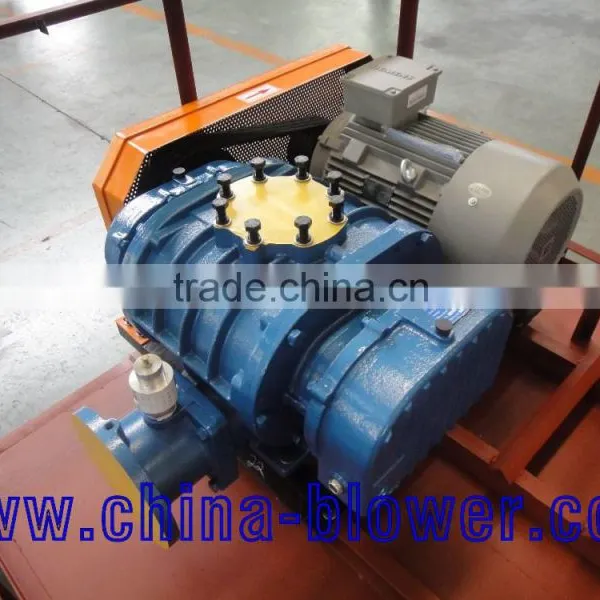 Roots Air Blower Positive Displacement Blower photo-3