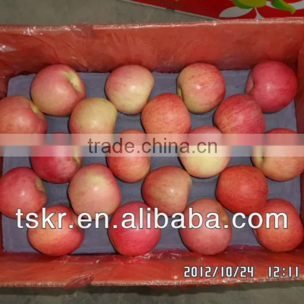 Fresh Fruits and Vegetables Qinguan Apple