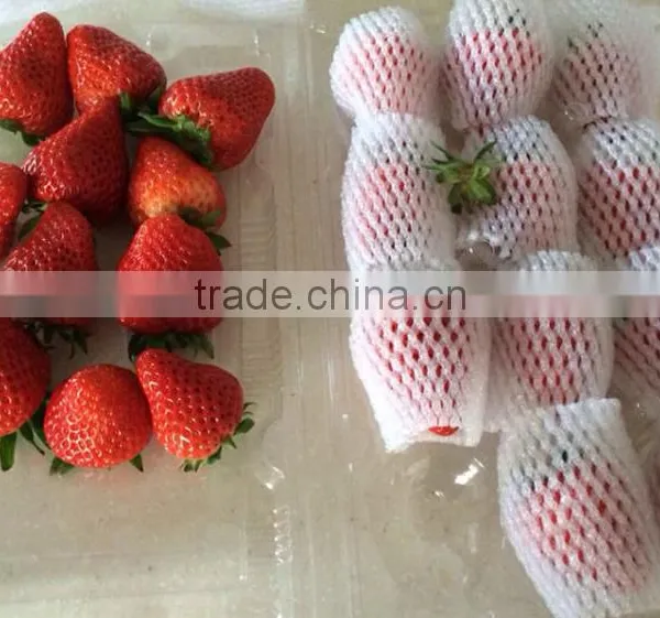 EPE Colorful Fruit and Vegetable Packaging Foam Nets photo-5