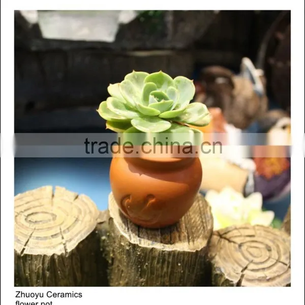 Ceramic Succulent Pots for Decoration photo-2
