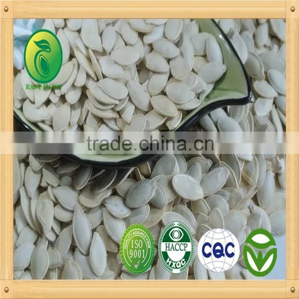 Shine Skin Pumpkin Seeds Raw Material for Roast and Salted