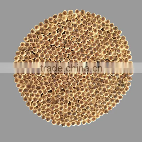500pcs Soft Can Curved Wooden Round Toothpicks photo-5