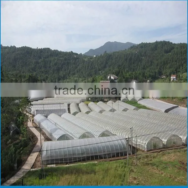 Large Single Span Flower,vegetable,tomato Commercial Greenhouses in Nigeria photo-3