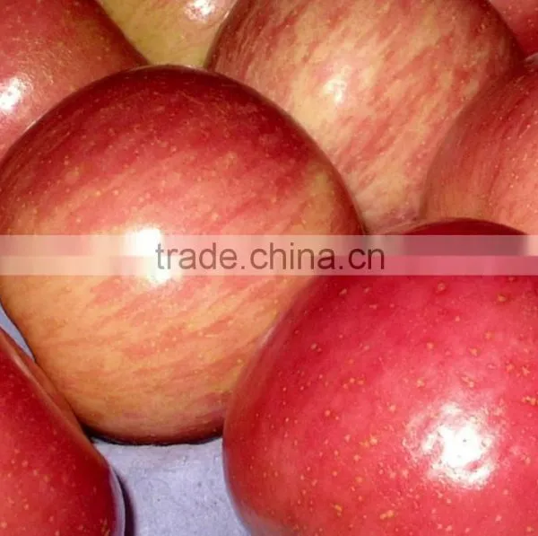 2015 Chinese Fresh Sweet Fuji Apple With Good Quality photo-4