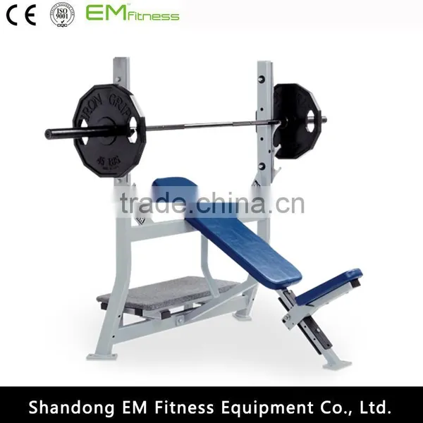 Life Fitness Equipment Roman Chair Back Extension photo-6