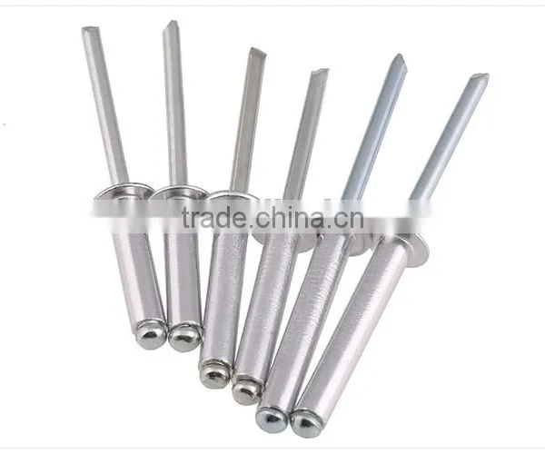 Rivet/blind Rivet/stainless Steel Blind Rivet photo-3