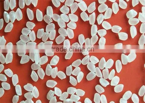 LONG WHITE RICE 5% -100% BROKEN- JOLIE NGUYEN photo-6