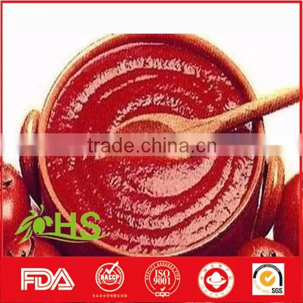 Tomato Paste in Cans and Drum photo-2