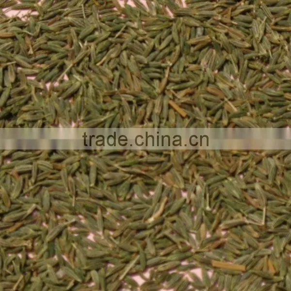 Cumin Seeds