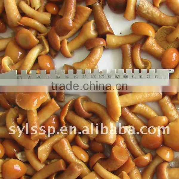 Canned NAMEKO Mushroom photo-2