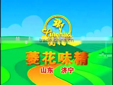 Chinese Seasoning Manufacturer Produce Msg Products photo-2
