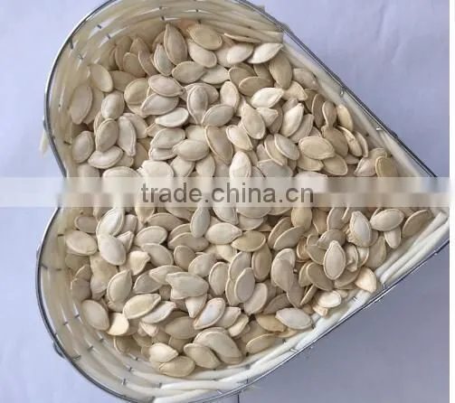 White Pumkin Seeds Shine Skin for Southeast Market photo-3