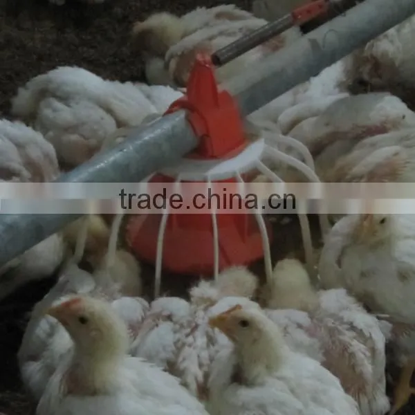 Chicken Feed Pan System for Broiler photo-6