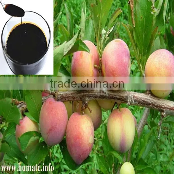 Brands of Organic Fertilizer Amino Acid Liquid photo-4