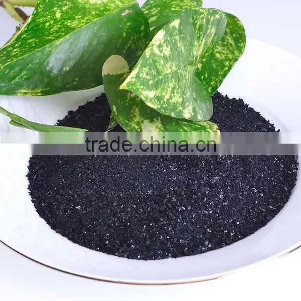 Produce Bulk High Grade Green Seaweed Extract photo-3