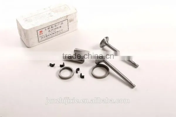 Good Quality Automotive Parts Nissan Z24 Engine Valves photo-2
