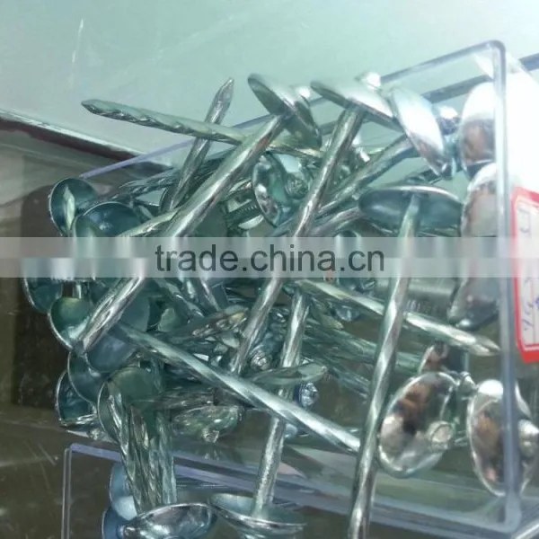 Umbrealla Nail With Roofing Head and Thread Nail Body photo-5