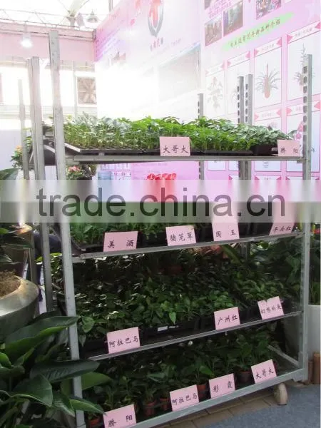 A11 Low Noise Pot Plant and Flower Danish Trolley Carts photo-3