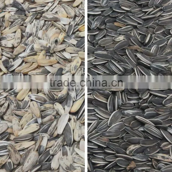Multifunctional CCD Camera Sunflower Seed Color Separator photo-4
