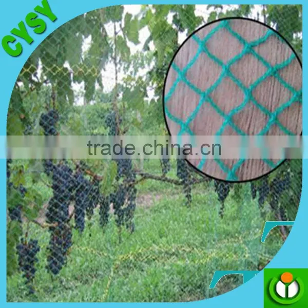 High Quality With Low Price Anti-Bird Net photo-3
